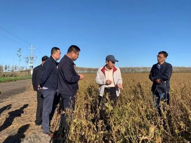 未來農(nóng)業(yè)價值可期！阿里、京東、華為，碧桂園紛紛發(fā)力數(shù)字農(nóng)業(yè)