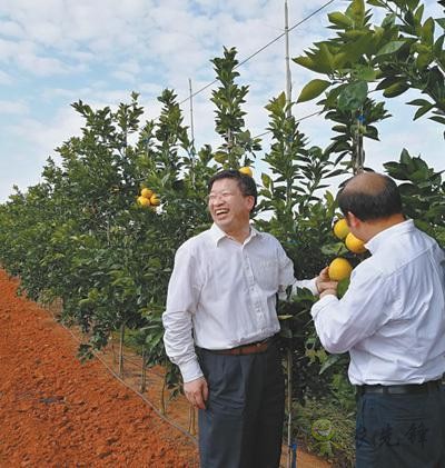 國家現(xiàn)代農(nóng)業(yè)（柑橘）首席科學(xué)家鄧秀新數(shù)十年助力農(nóng)民增收