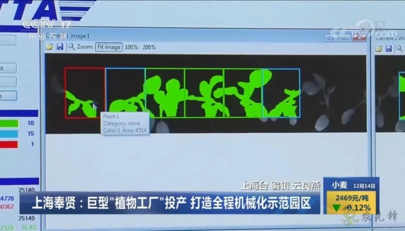 上海奉賢海灣鎮(zhèn)的巨型的植物工廠