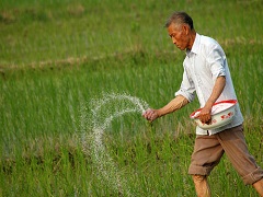 加強生物固氮科技創(chuàng)新，助力耕地資源保護與耕地質(zhì)量提升