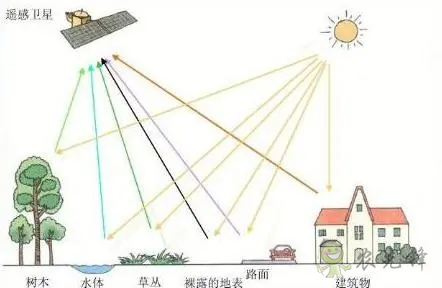 中國遙感衛(wèi)星再添新成員 看TA在太空如何對農(nóng)作物“稱斤計兩”？