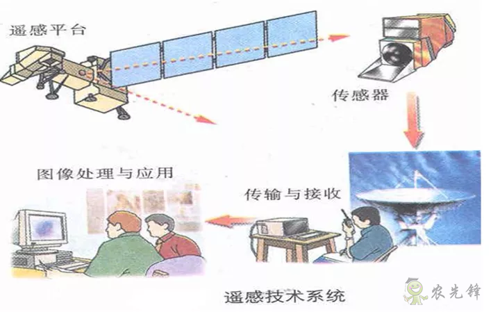 中國遙感衛(wèi)星再添新成員 看TA在太空如何對農(nóng)作物“稱斤計兩”？