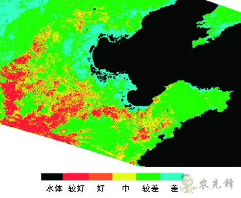 中國遙感衛(wèi)星再添新成員 看TA在太空如何對農(nóng)作物“稱斤計兩”？