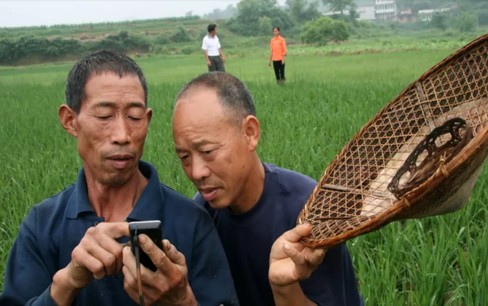 白描 苑鵬：現(xiàn)代化進(jìn)程中我國(guó)農(nóng)民全面發(fā)展的痛點(diǎn)