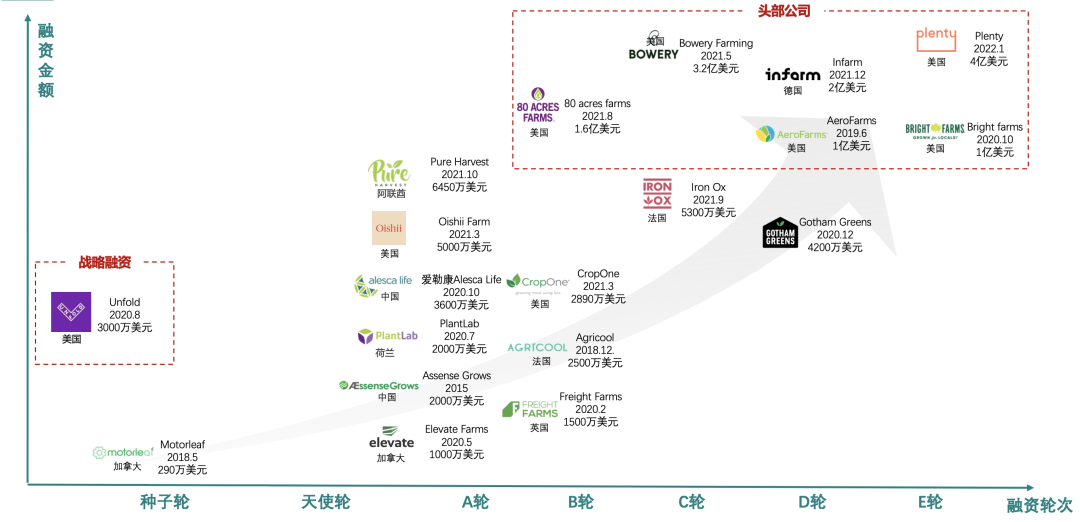 垂直農(nóng)業(yè)，一個(gè)可持續(xù)的未來(lái)？