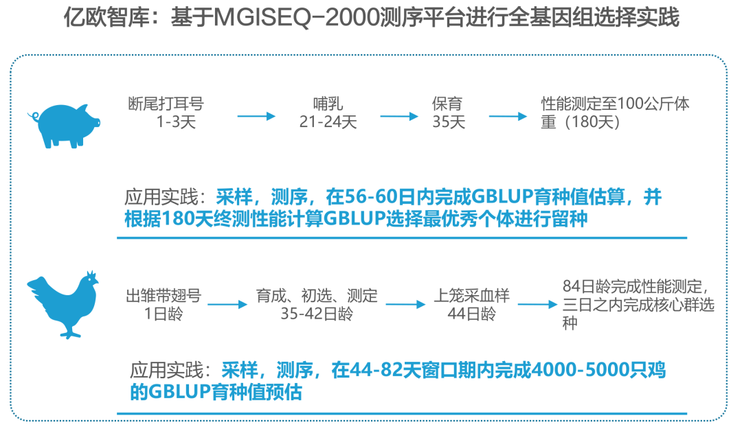 億歐網(wǎng)：我們?yōu)槭裁纯春弥袊?guó)分子育種？“最后一公里”并非遙不可及