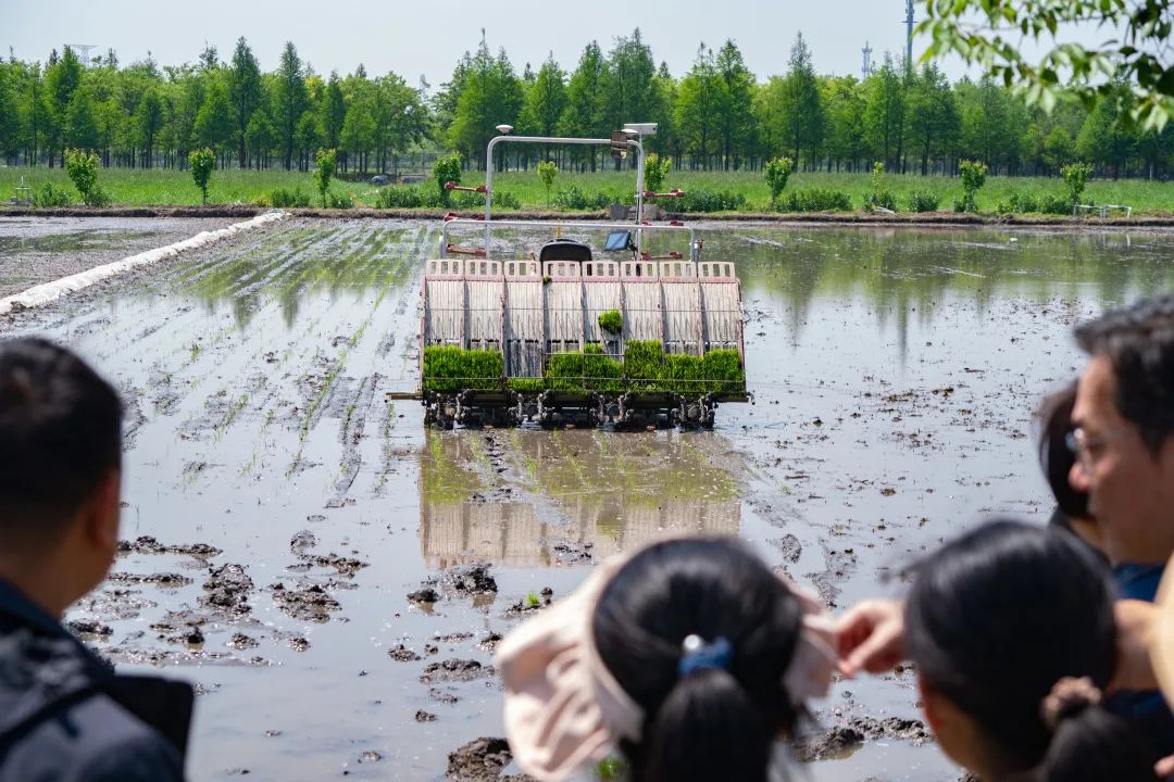 無人農(nóng)機加入滬郊水稻插秧大軍